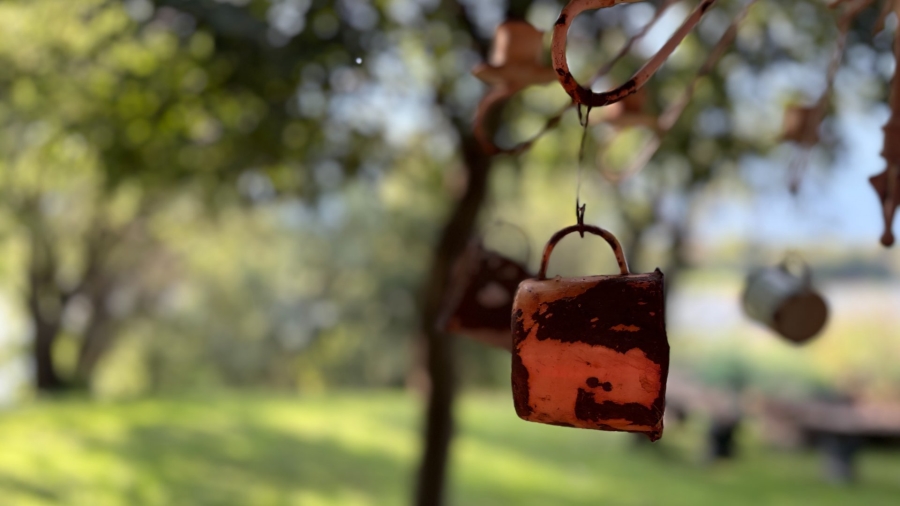  Bedroom Property for Sale in Viljoenskroon Rural Free State